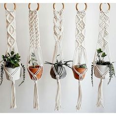 four macrame plant holders with plants in them hanging from hooks on the wall