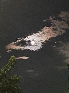 the moon is shining brightly in the night sky above some trees and bushes, with dark clouds