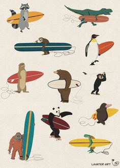 several different types of animals and surfboards on a white background with words written below