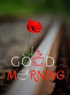 a red flower sitting on top of a train track next to the words good morning