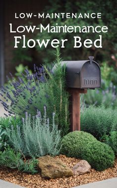 a mailbox surrounded by plants and rocks with the words low maintenance flower bed written on it