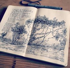 an open notebook with trees and writing on it