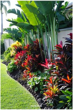 the garden is full of tropical plants and flowers