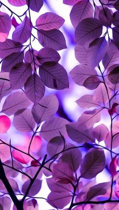 the words you can are surrounded by purple leaves