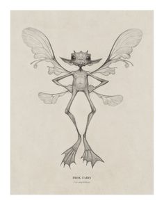 a black and white drawing of a frog with wings on it's back legs