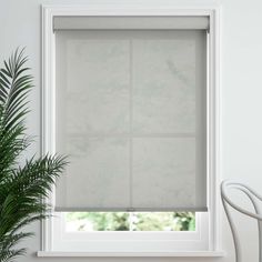 a white window with blinds on it and a potted plant in front of the window