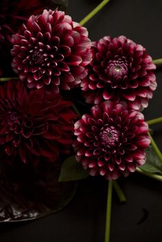 red flowers are arranged on a black surface