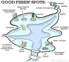 an image of a fish spot with the words, good fish spots and other things in it