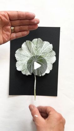 two hands are holding a card with a leaf on it and another hand is pointing at the flower