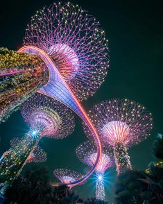 the night time view of an amusement park with colorful lights and trees in the foreground