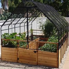 a wooden garden bed with plants growing in it and a wire mesh cover over the top