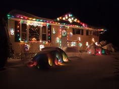 a house covered in christmas lights and snow