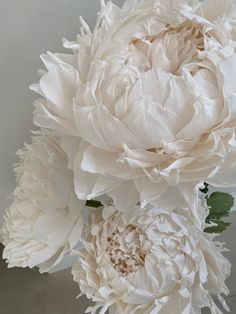 3 Free-Standing Oversized Paper Peonies, 3 Big Standing Paper Flowers, Window Display Decor, Event Decor Giant Paper Flowers 152cm | 5ft - 1pc 137cm | 4.5ft - 1pc 119cm | 3.9ft - 1pc Transform your special events, shop windows, and cafes into a stunning visual spectacle with our exquisite collection of large paper flowers made of isolon. Each flower is uniquely handmade and crafted with exceptional attention to detail to ensure a remarkable finish.  These giant flowers are perfect for decorating weddings, holiday celebrations, or any special event, and are sure to leave a lasting impression on your guests. Our collection of paper flowers offers a wide variety of colors and designs, making them a great addition to your decor.  These oversized blooms are expertly crafted and come with sturdy Feminine Home Office Classy With Paper Flowers, Giant Paper Flower Backdrop Especially Paper, Large Paper Flowers Tutorial, Giant Paper Wreath, Professional Paper Flowers, Large Paper Chanel Flower, Oversized Wall Flowers, Cricut Giant Flowers, Crepe Paper Flowers Peonies