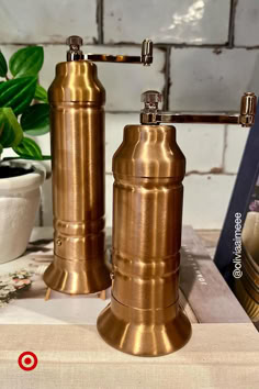 two copper colored salt and pepper shakers sitting on a table next to a potted plant