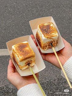 someone holding two boxes with food on sticks in their hands, and one box is filled with toasted marshmallows