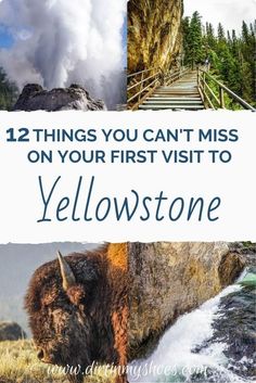 yellowstone with the words, 12 things you can't miss on your first visit to yellowstone