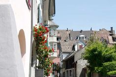 a narrow street with buildings and flowers growing on the side of each building's windows