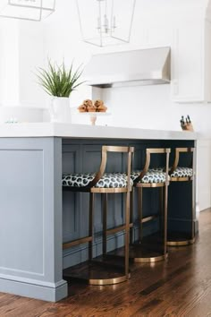 a kitchen island with three stools and a potted plant