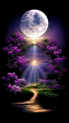 the full moon is shining brightly in the night sky above trees and bushes, with purple flowers on either side