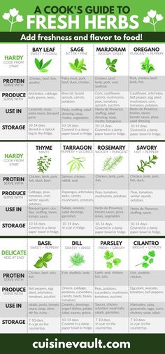 the ultimate guide to fresh herbs