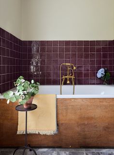 a bath tub sitting next to a table with a potted plant on top of it