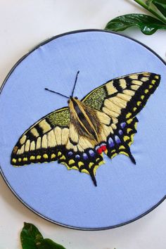 a yellow and black butterfly painted on a blue circle with green leaves in the background