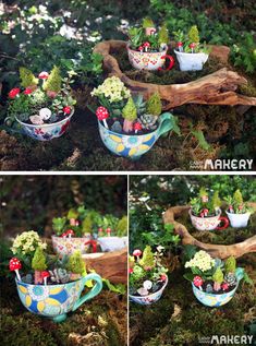 three pictures of different plants in bowls on the ground, with moss growing out of them