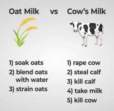 Vegetarian Memes, Cows Milk, Life Matters