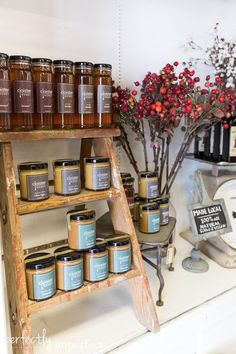 a shelf filled with jars and candles next to a potted plant on top of a table