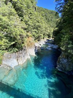 the blue river is surrounded by green trees