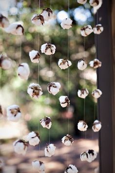 cotton flowers hanging from the side of a window