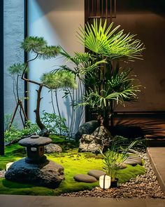 an indoor garden with rocks, plants and stones on the ground in front of a wall