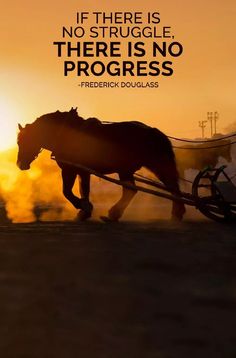 a horse pulling a buggy with the sun setting in the background and a quote about it