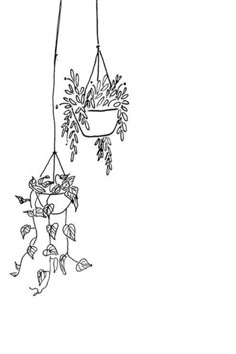 a drawing of hanging planters with plants in them