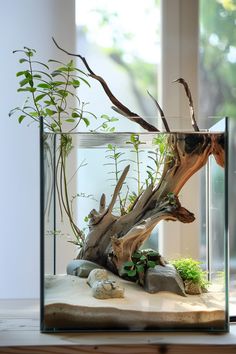 an aquarium filled with plants and rocks on top of a wooden table next to a window