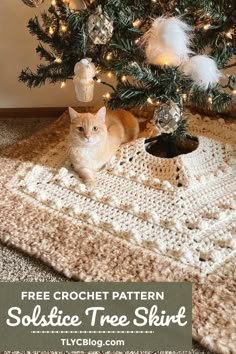 a cat sitting under a crochet tree skirt