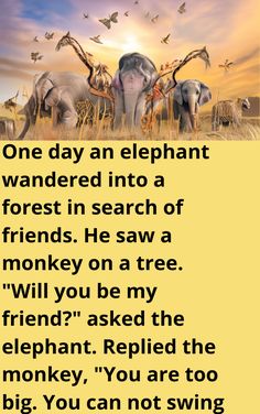 an elephant standing in the middle of a field with birds flying over it and text that reads, one day an elephant wanderd into a forest in search of friends