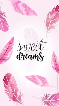 pink watercolor feathers with the words sweet dreams