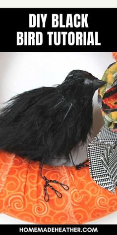 a black bird sitting on top of an orange pillow with the words diy black bird tutor