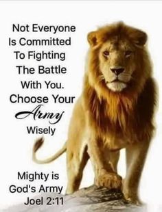 Lion Of Judah Jesus, Woord Van God, Faith Encouragement, Christian Pictures, Warrior Quotes, Inspirational Quotes God, Verses Quotes, Prayer Scriptures