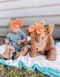 a baby sitting on a blanket next to a brown cow with a bow in its hair