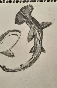 a pencil drawing of a fish with an e on it's back and the letter e in the middle