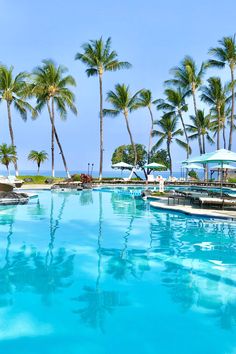 an empty swimming pool surrounded by palm trees