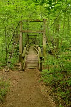 a wooden bridge in the middle of a forest with lots of green leaves on it