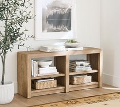 a living room with a potted plant and some books on the shelf next to it