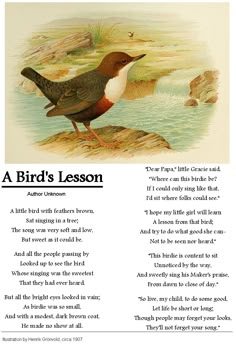 a bird's lesson is shown on the page