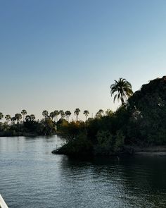 a boat traveling down a river with palm trees on the shore and blue sky above