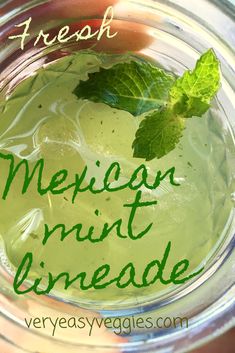 Herb Lemonade Recipe, Spearmint Recipes Drinks, Mint Beverage Recipes, Lemonade Mint Recipe, Mint Drinks Healthy, Mexican Lemonade Recipes, Cuban Lemonade, Mint Leaf Recipes