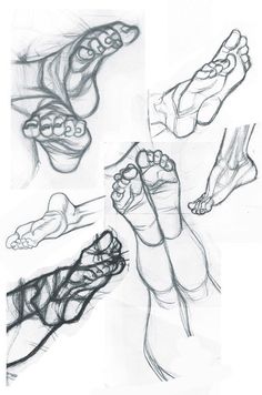 four different views of feet and hands in various stages of drawing, each with their own foot