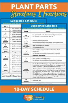 plant parts structures and functions worksheet for students to use in the science classroom